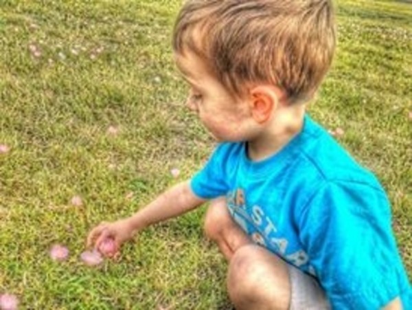 jack jack flower by Crystal Michelle Caraway